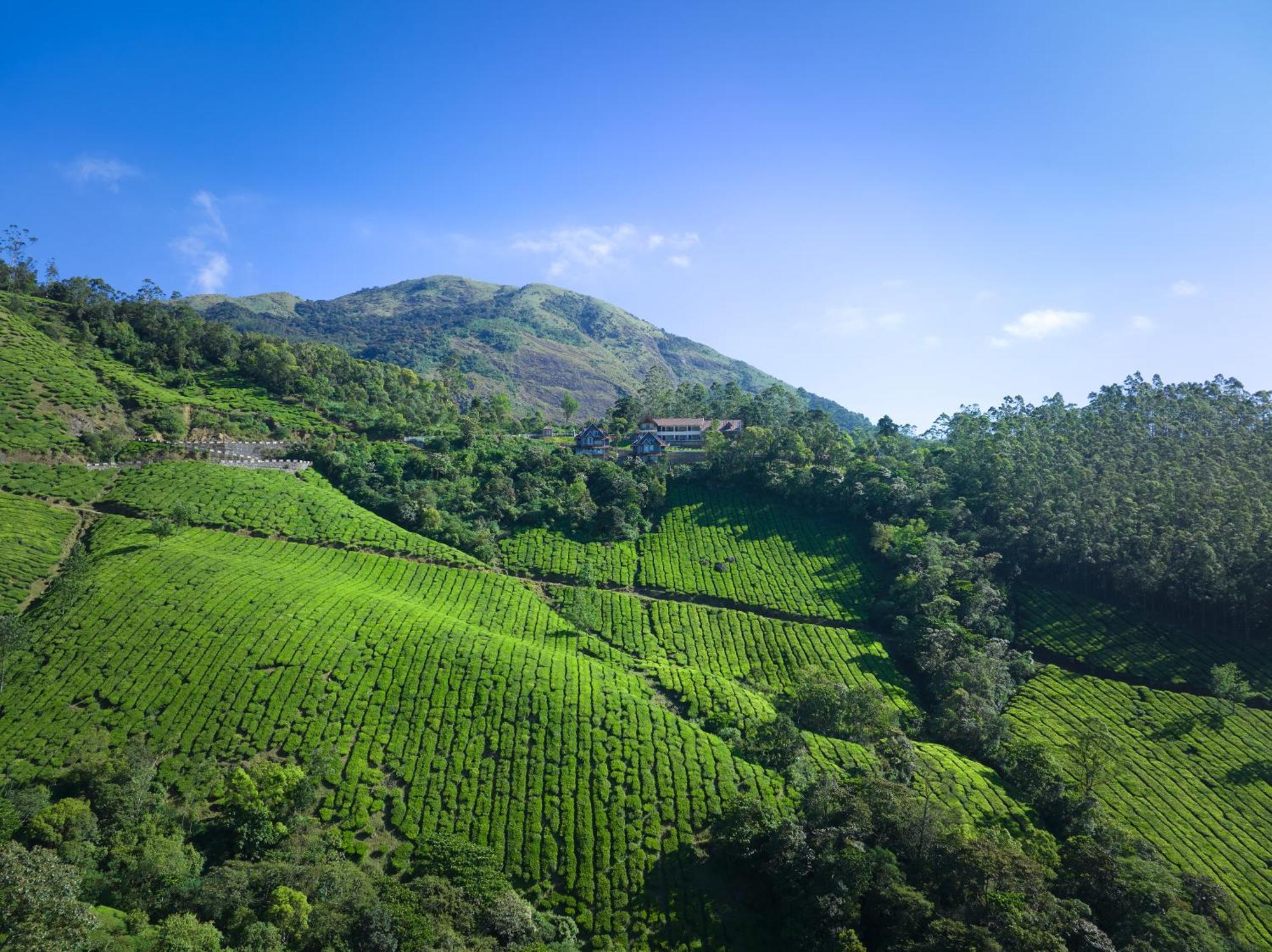 Hotel The Planet Munnar Suryanelli Exterior foto